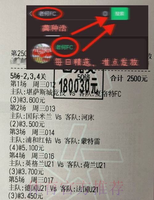深入探讨世界杯竞猜平台的安全性与风险分析
